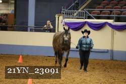 21YN_23091 thumbnail