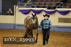 21YN_23093 thumbnail