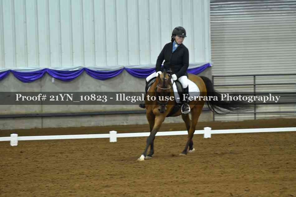 Proof Number 21YN_10823