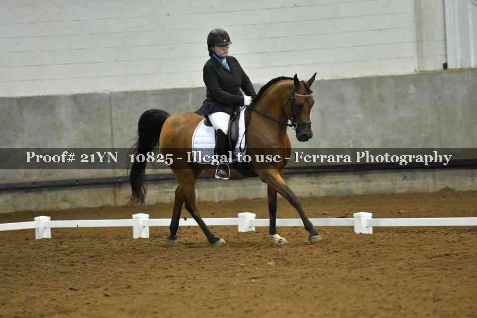 Proof Number 21YN_10825