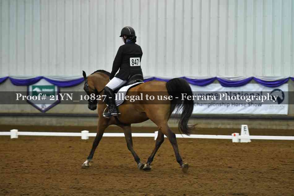 Proof Number 21YN_10827