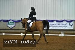 21YN_10827 thumbnail