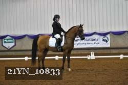 21YN_10833 thumbnail
