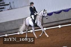 21YN_10835 thumbnail