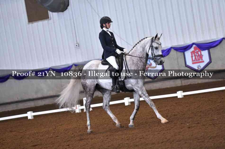 Proof Number 21YN_10836