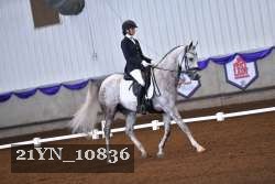 21YN_10836 thumbnail