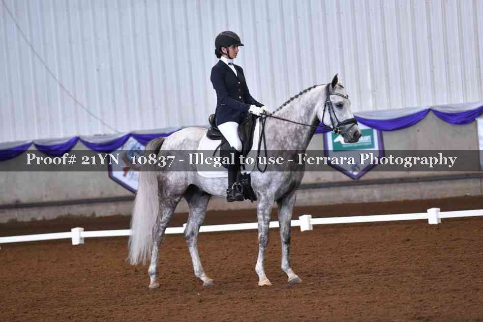 Proof Number 21YN_10837