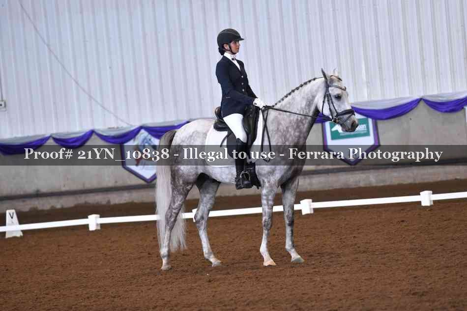 Proof Number 21YN_10838