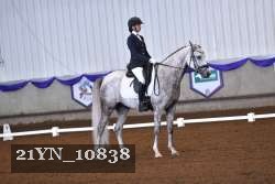 21YN_10838 thumbnail