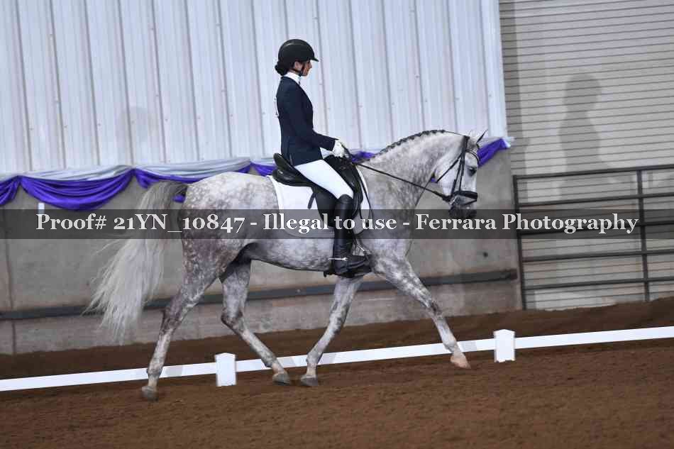 Proof Number 21YN_10847