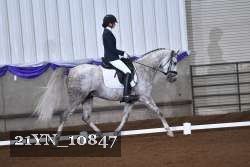 21YN_10847 thumbnail