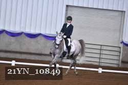 21YN_10849 thumbnail
