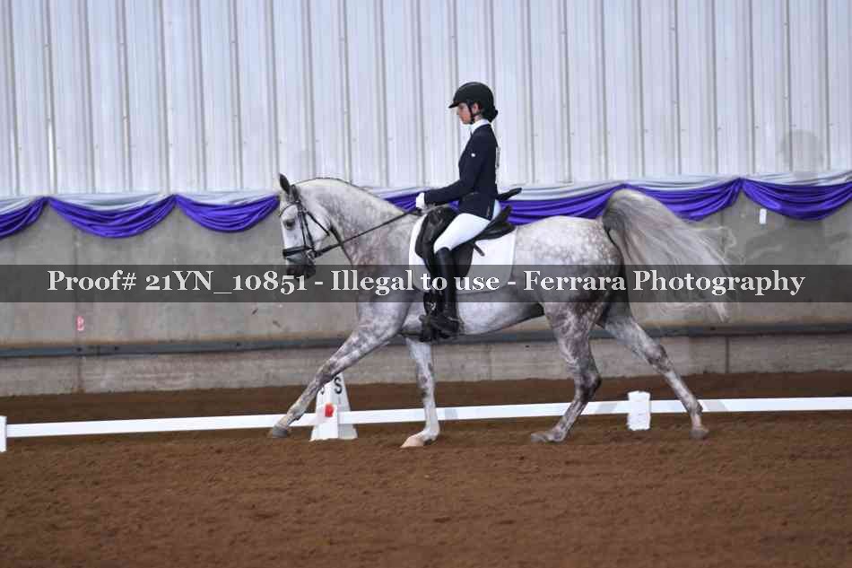 Proof Number 21YN_10851