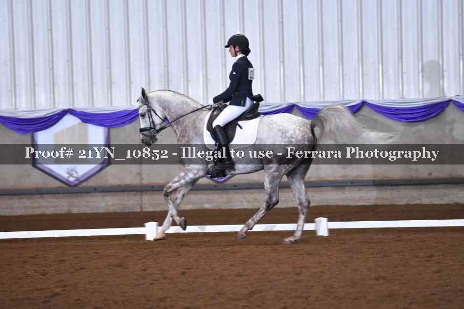 Proof Number 21YN_10852