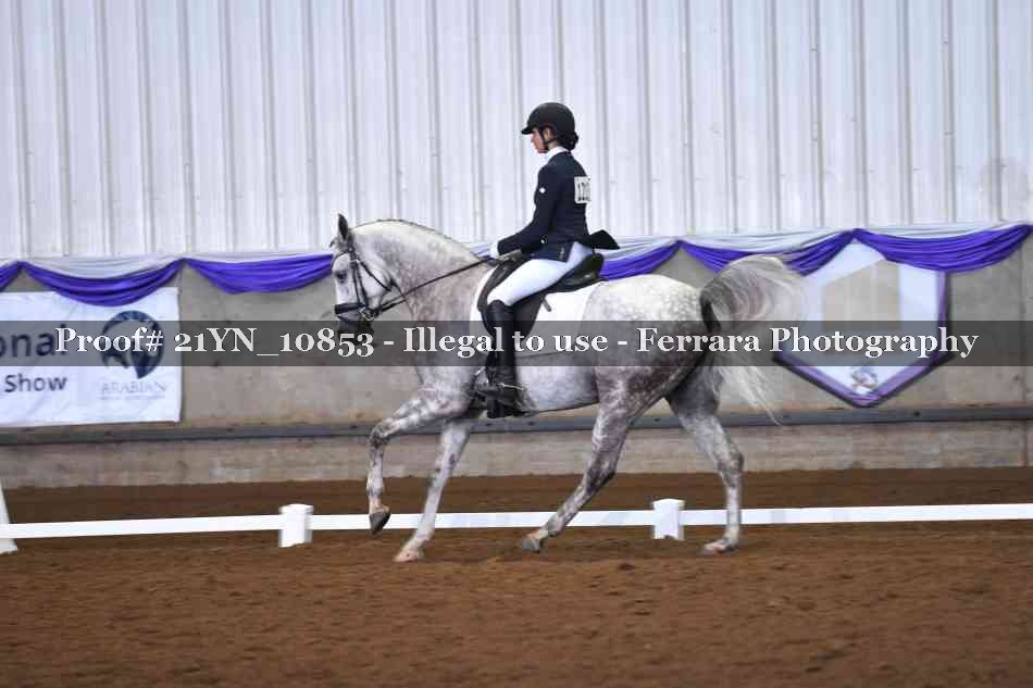 Proof Number 21YN_10853
