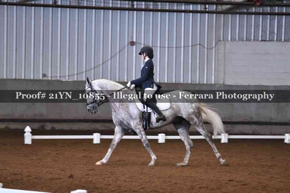Proof Number 21YN_10855