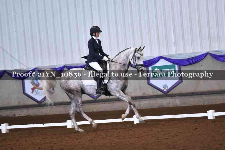 Proof Number 21YN_10856
