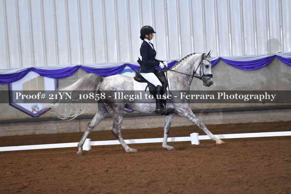 Proof Number 21YN_10858
