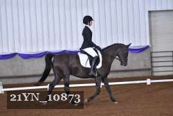 21YN_10873 thumbnail
