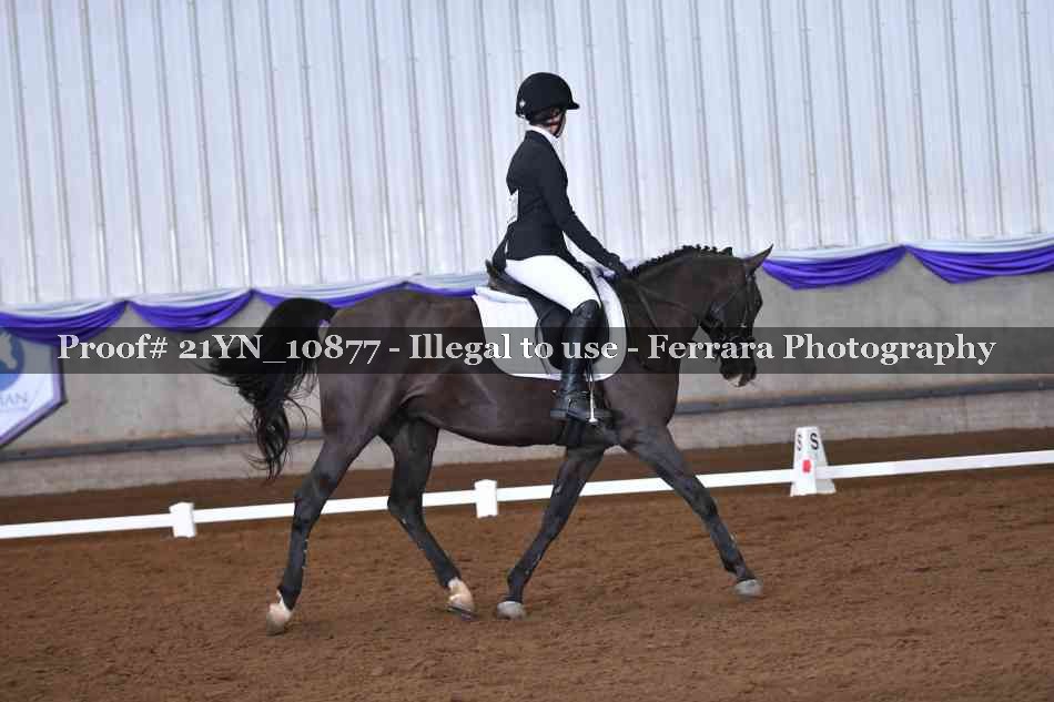 Proof Number 21YN_10877