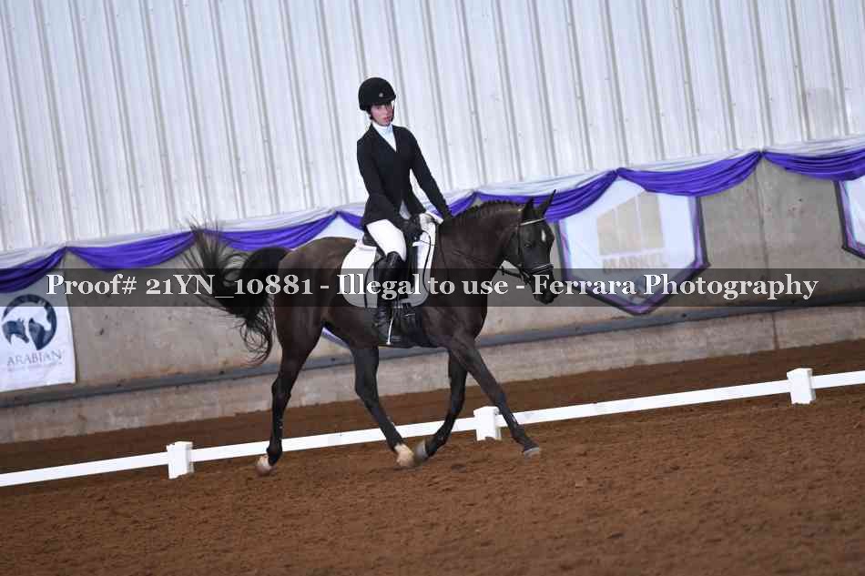 Proof Number 21YN_10881