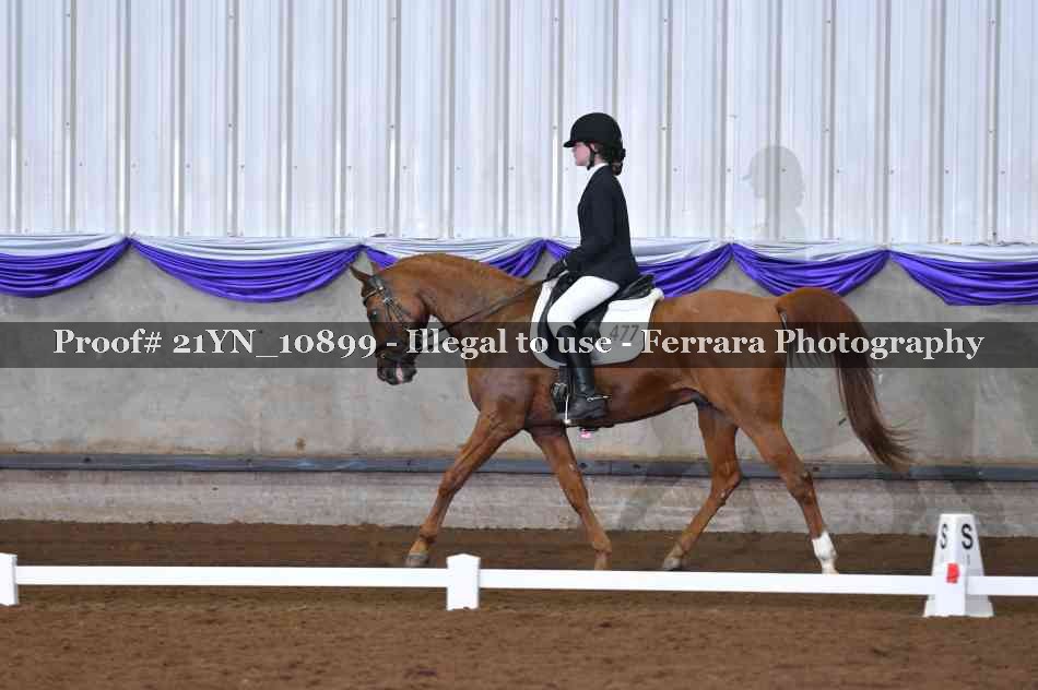 Proof Number 21YN_10899
