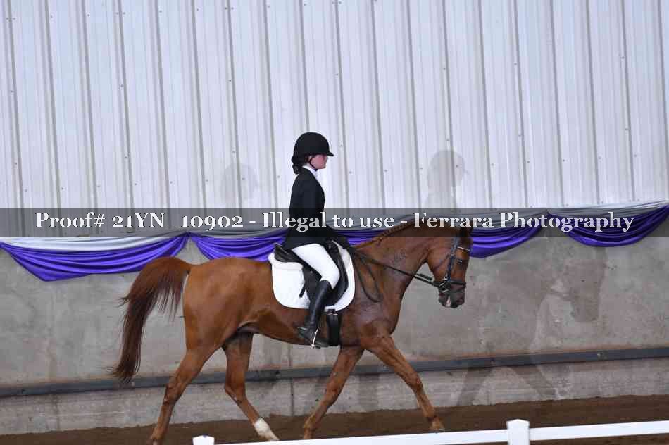 Proof Number 21YN_10902