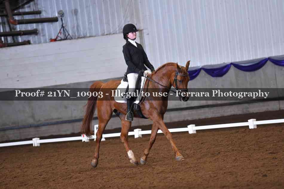 Proof Number 21YN_10903