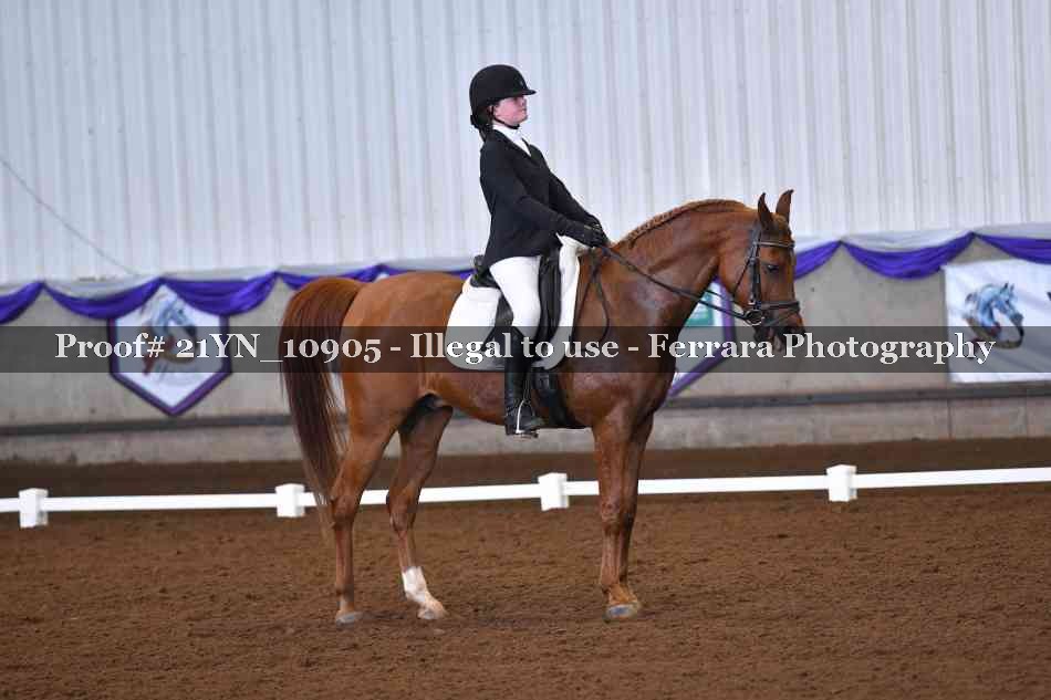 Proof Number 21YN_10905