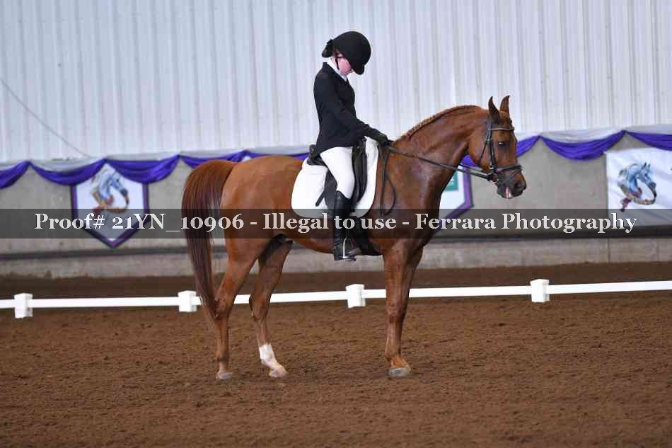 Proof Number 21YN_10906