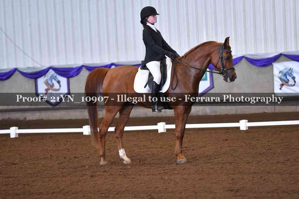 Proof Number 21YN_10907
