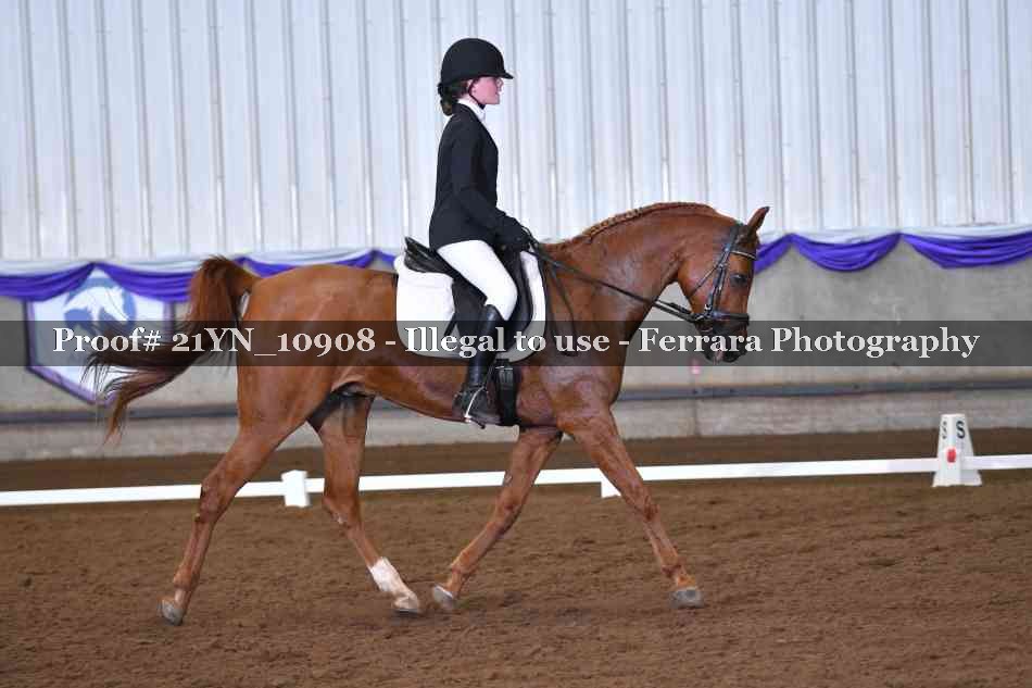 Proof Number 21YN_10908