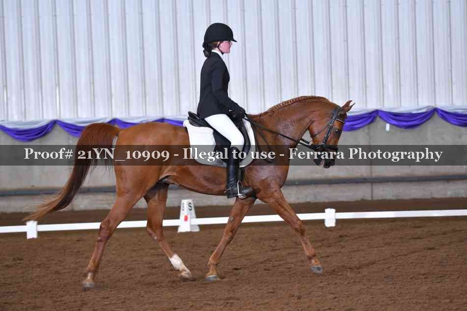 Proof Number 21YN_10909