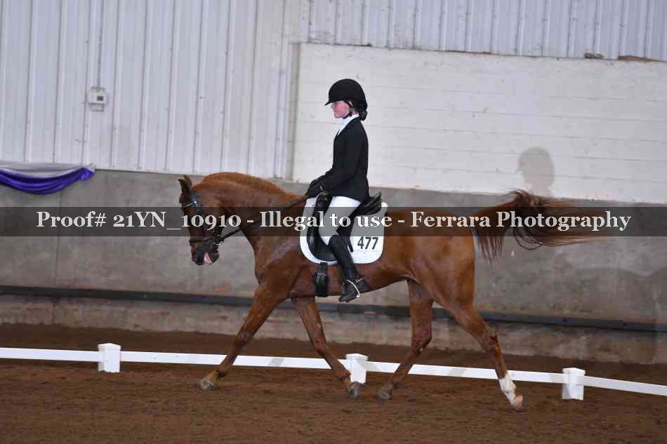 Proof Number 21YN_10910