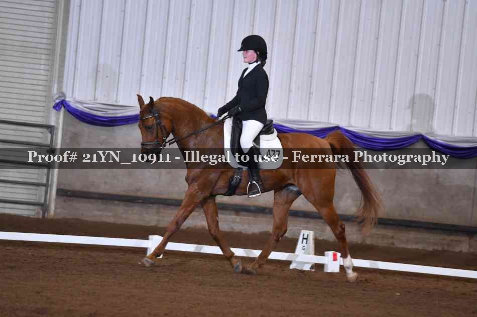 Proof Number 21YN_10911