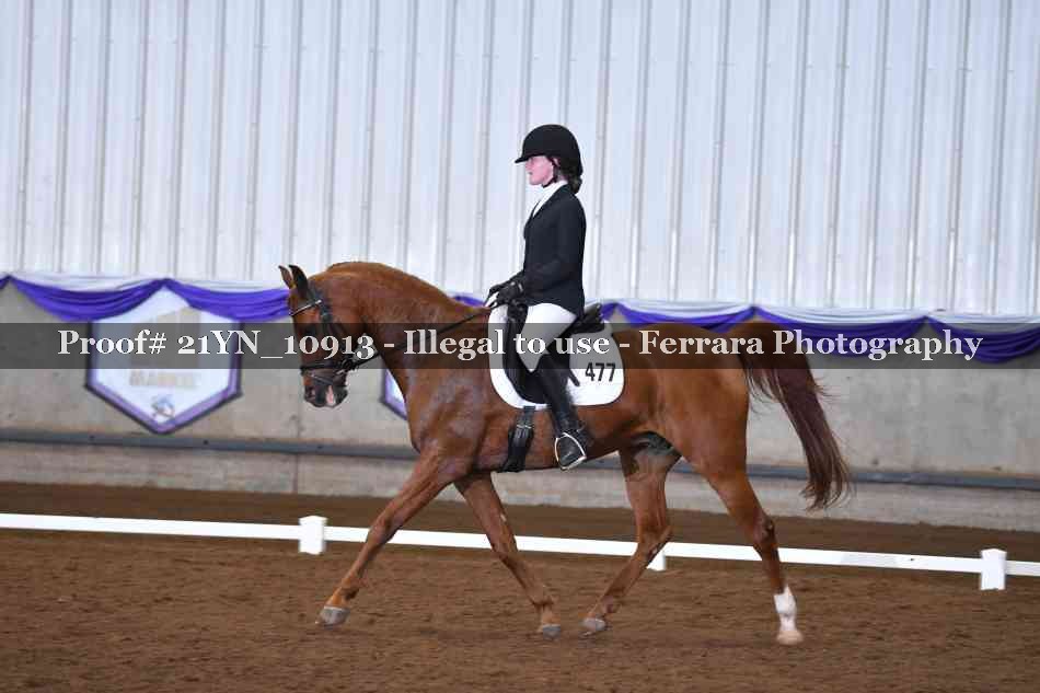 Proof Number 21YN_10913
