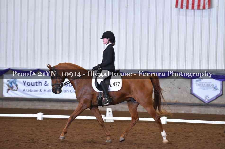 Proof Number 21YN_10914