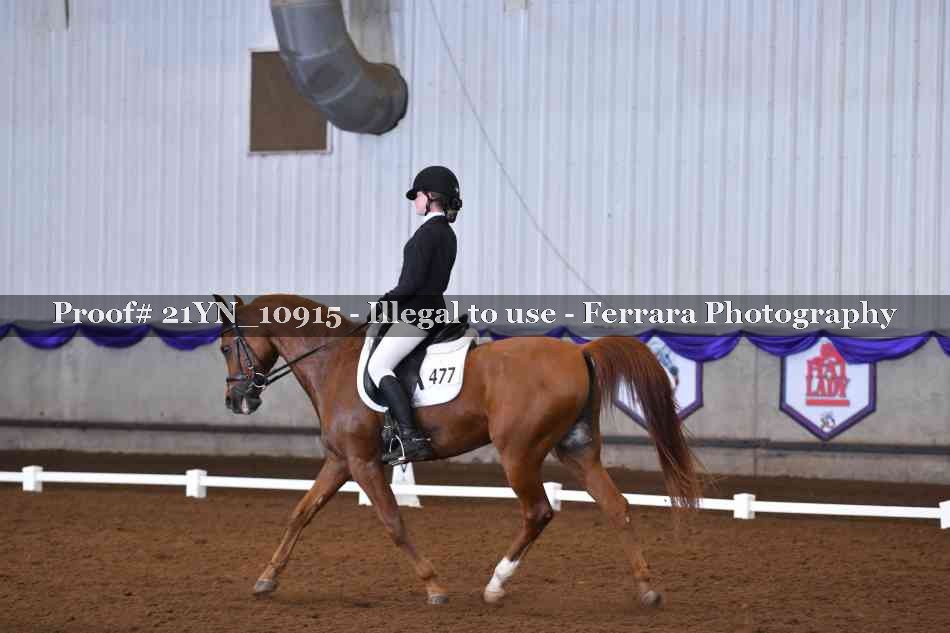 Proof Number 21YN_10915