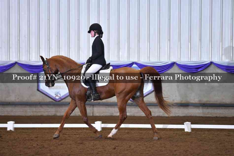 Proof Number 21YN_10920