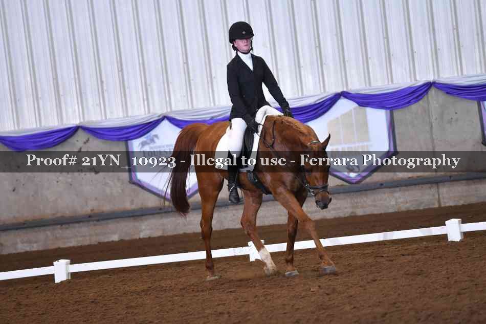 Proof Number 21YN_10923