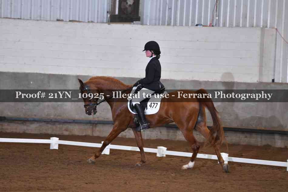 Proof Number 21YN_10925