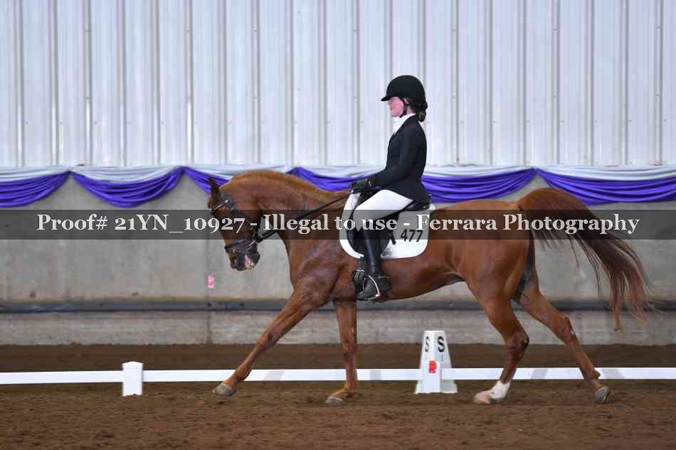 Proof Number 21YN_10927