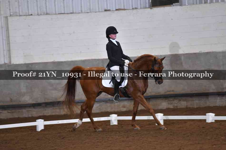 Proof Number 21YN_10931