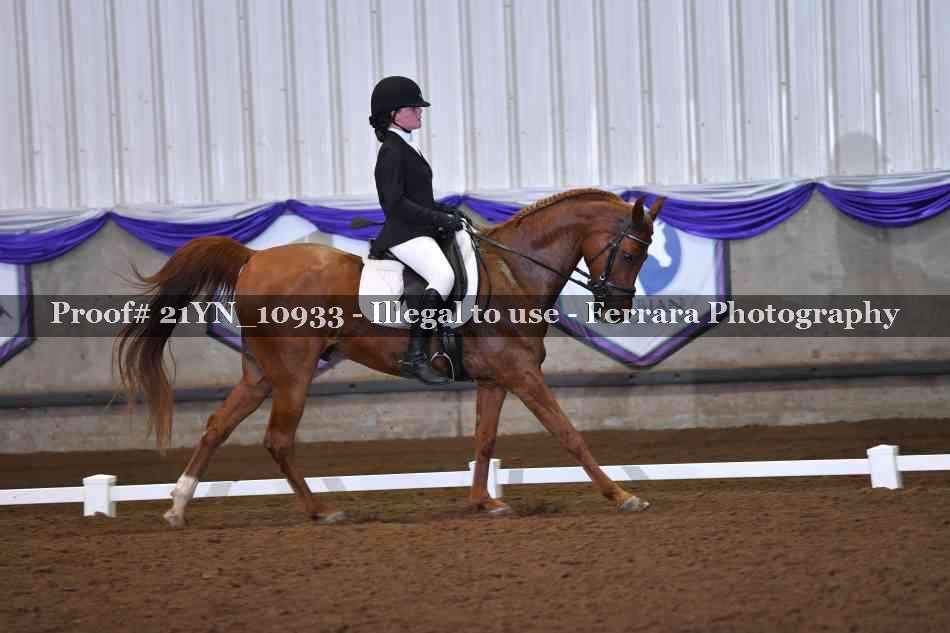 Proof Number 21YN_10933