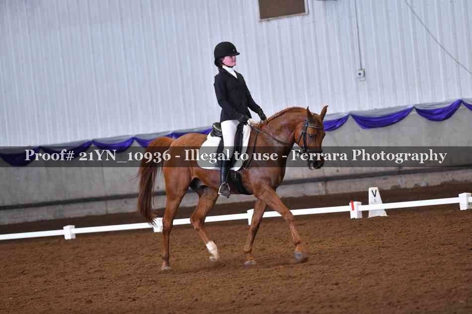 Proof Number 21YN_10936