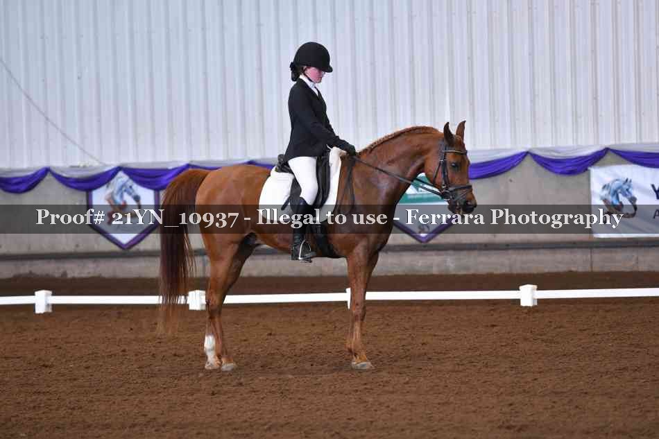 Proof Number 21YN_10937