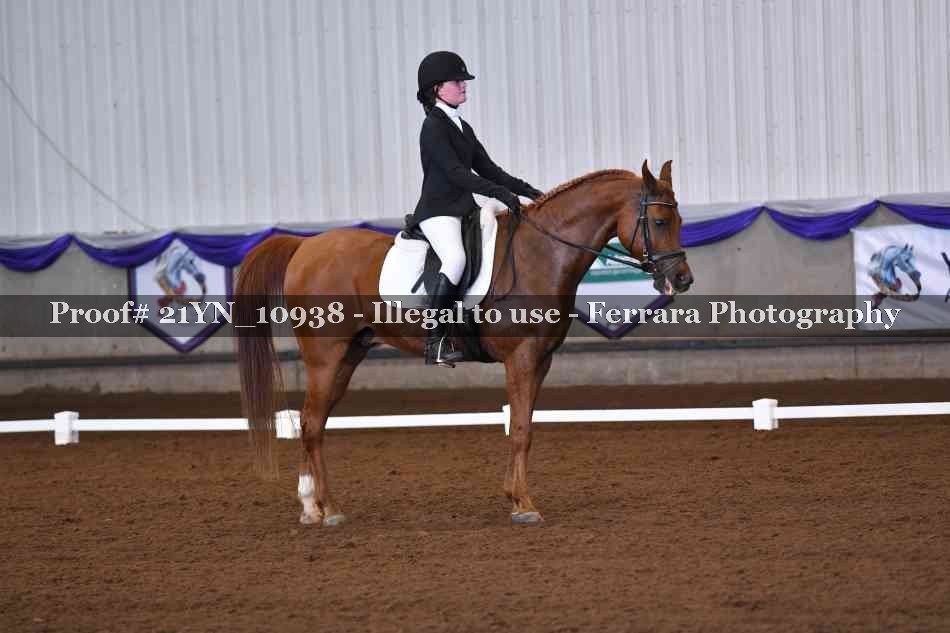 Proof Number 21YN_10938