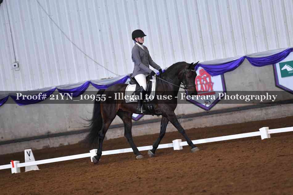 Proof Number 21YN_10955