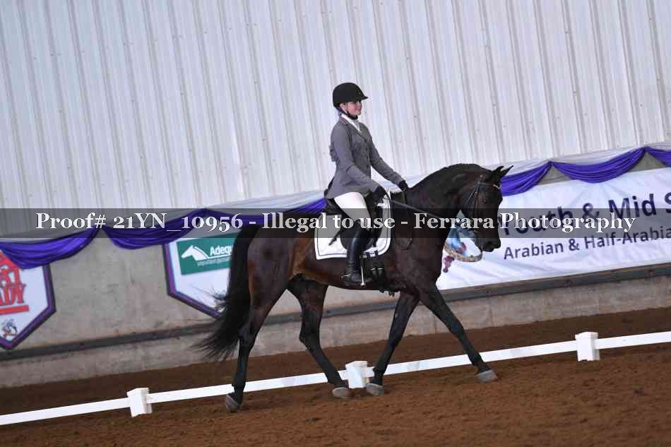 Proof Number 21YN_10956