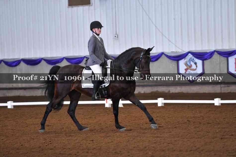 Proof Number 21YN_10961